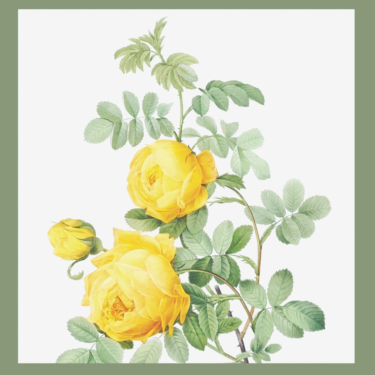 Spring Floral Prints for Farmhouse Style