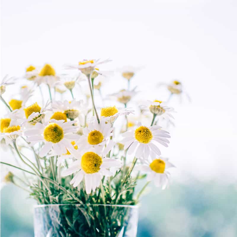 Thoughtful Mother's Day Presents for Mom