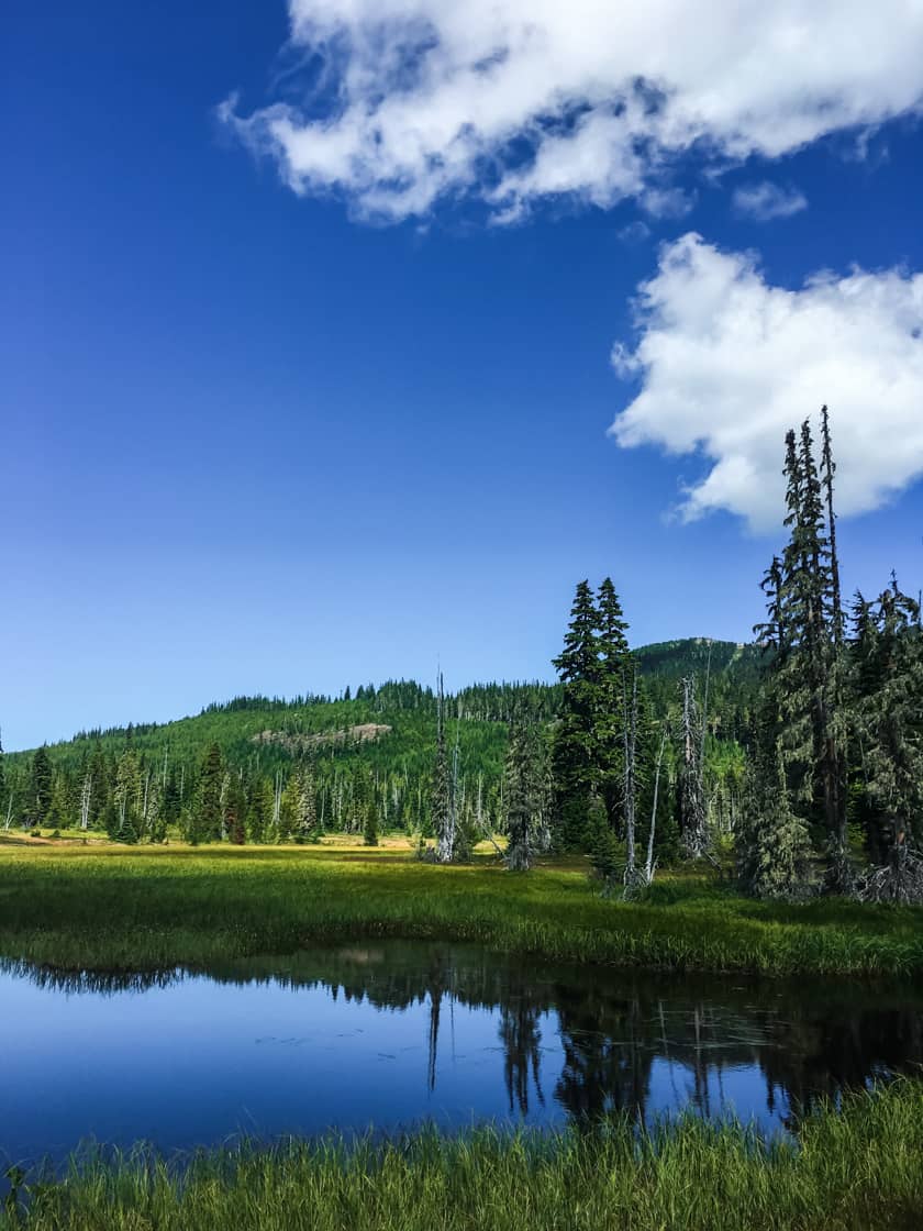 Travel to Mount Washington on Vancouver Island in Summer