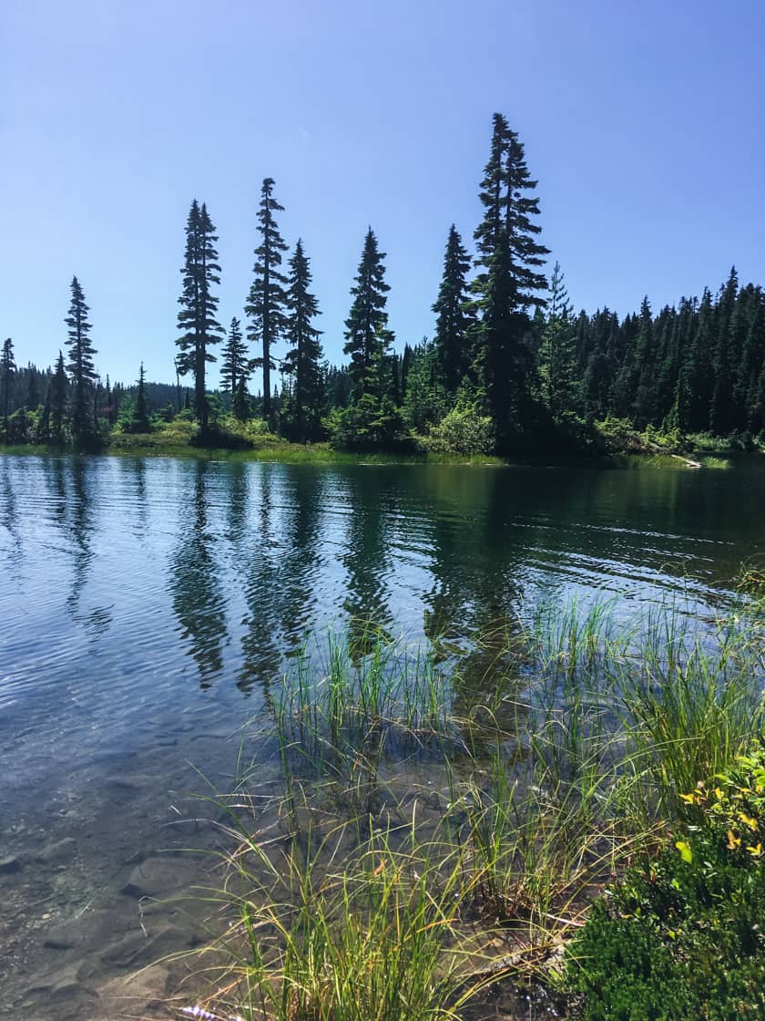 Travel to Mount Washington on Vancouver Island in Summer