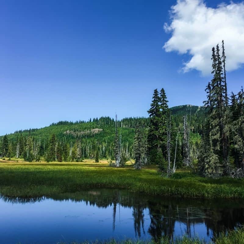 Exploring Mount Washington on Vancouver Island in Summer