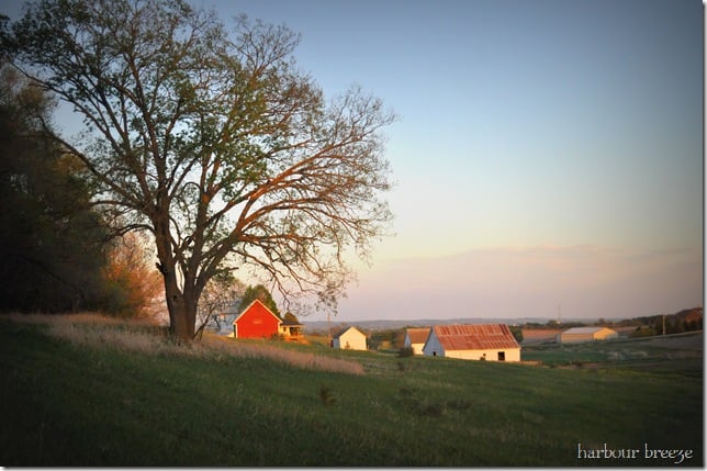 the farm