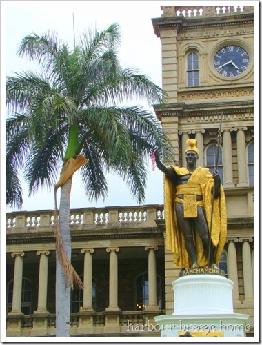 hawaii five-o man