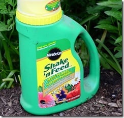 plant food