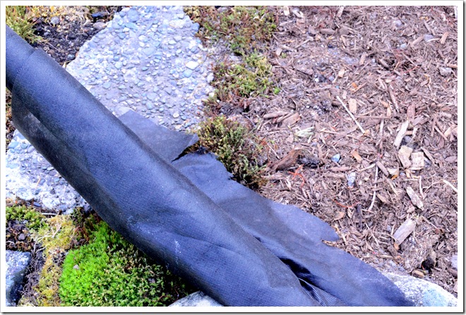 landscape fabric and bark mulch