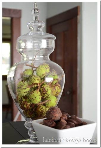 jarful of horse chestnuts