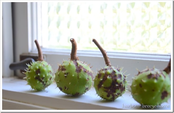 in windowsill
