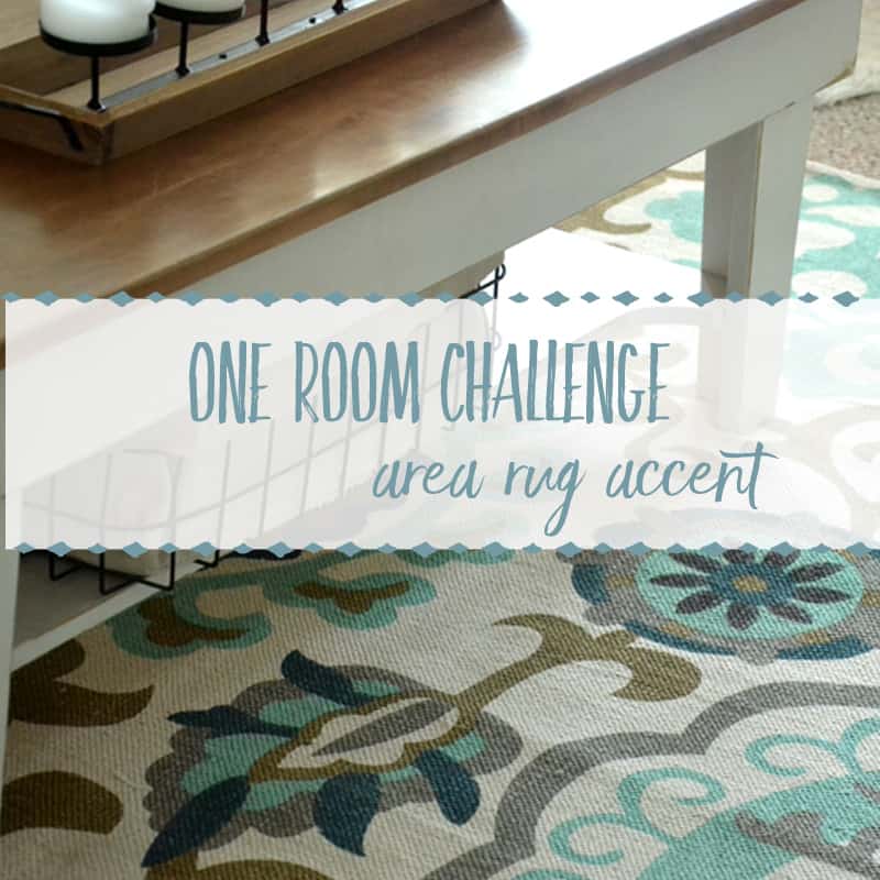 Area Rug Boosts Single Room Style