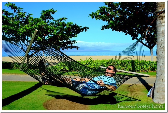 hammock2