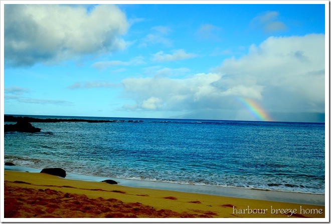 rainbow 2