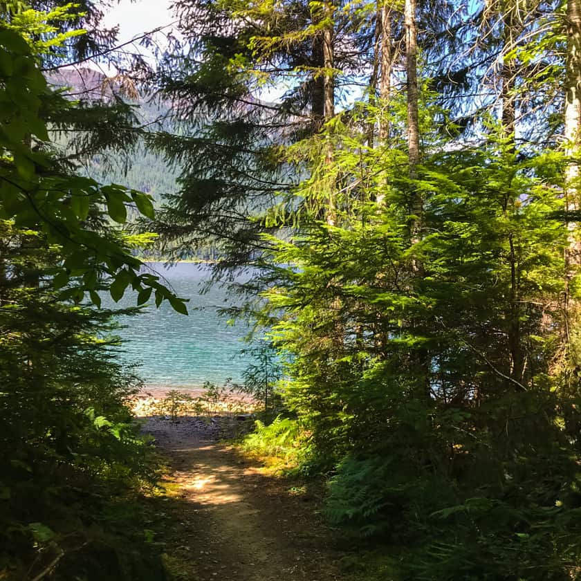 A trail with trees on both sides leading to a lake.