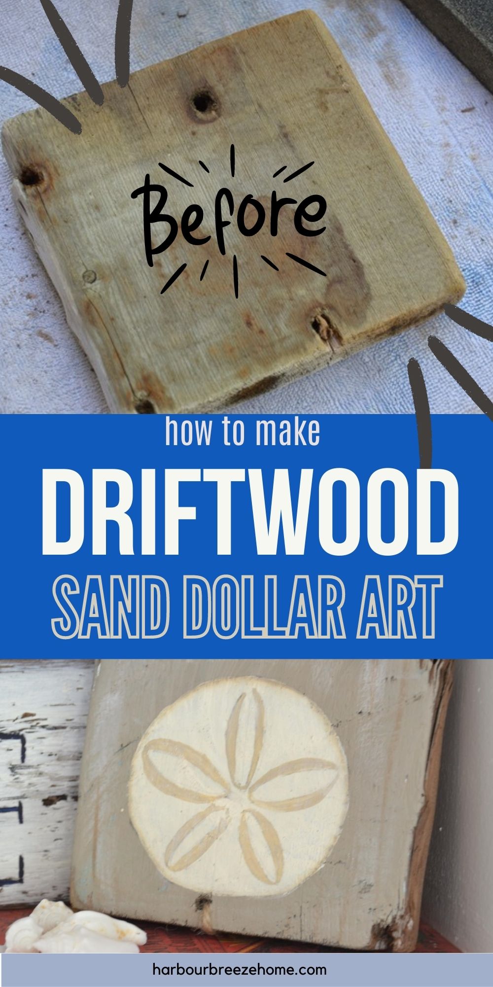 Driftwood Craft Painted Sand Dollar