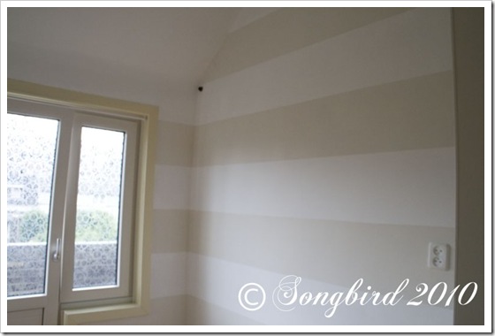 songbird stripes