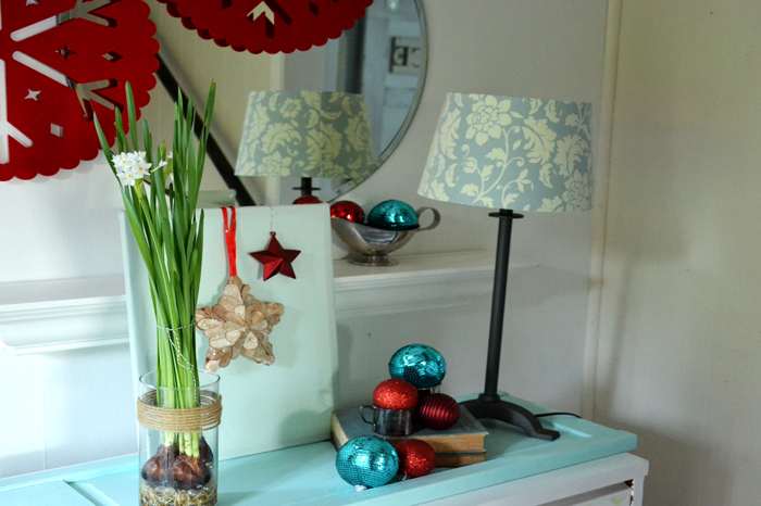 How to gift and grow paper white bulbs on Bildirimlerim