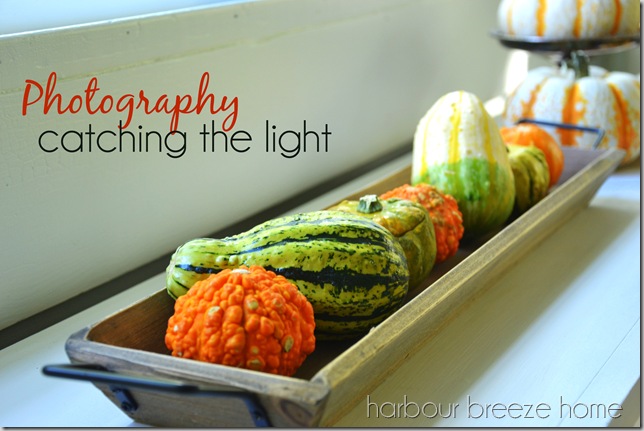 catching the light