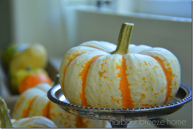 fall pumpkin 2