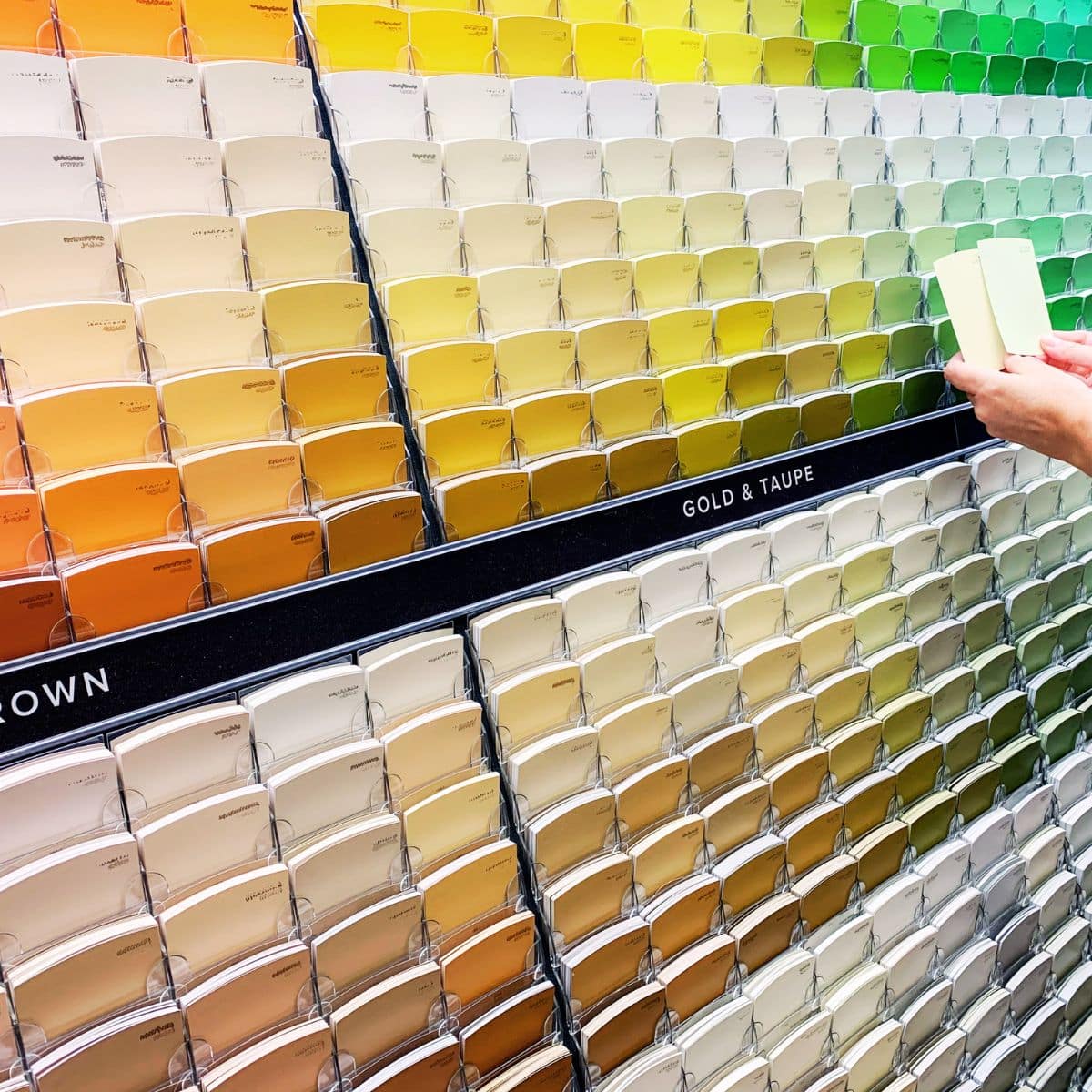 Selecting Your Perfect Paint Hue for Your Home
