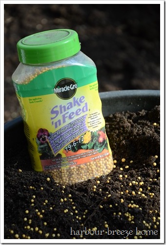 container gardening step two