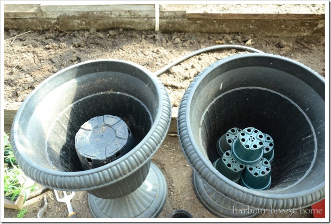 container gardening step one