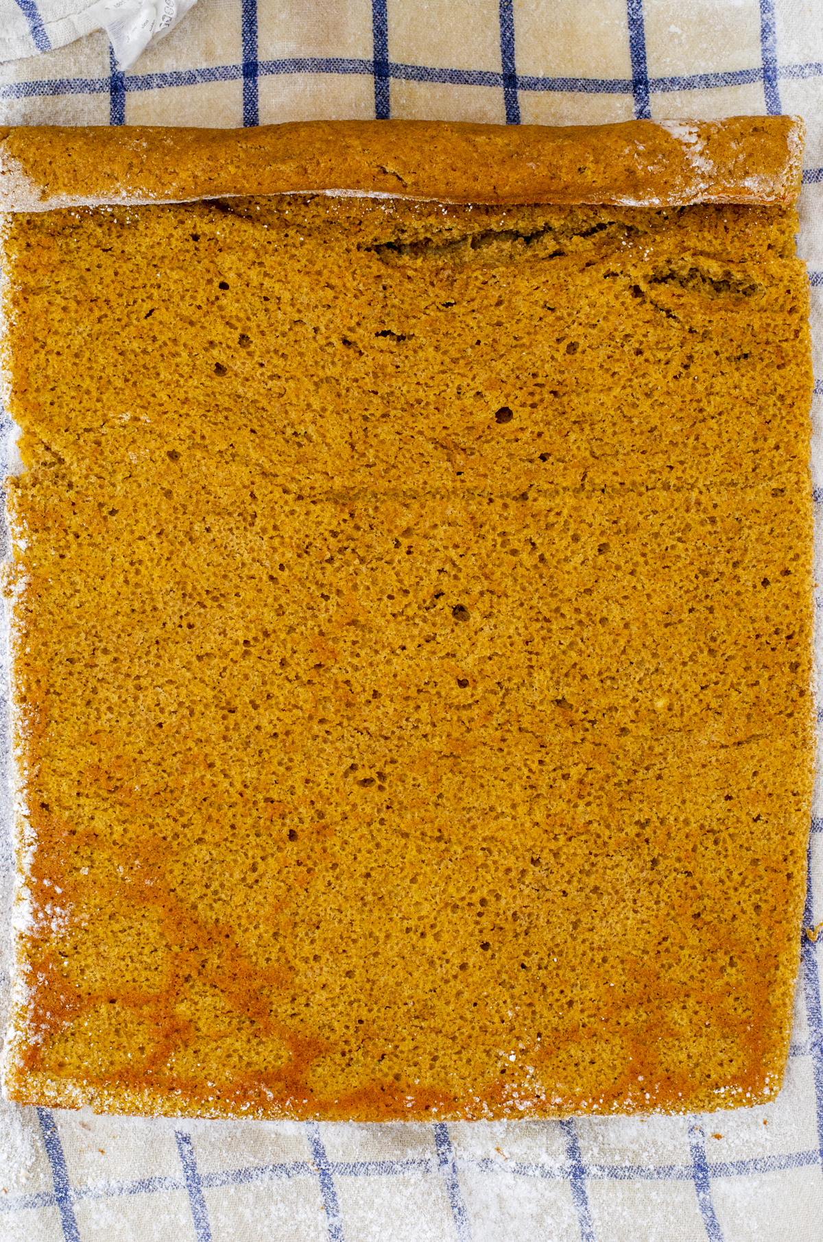 pumpkin cake for pumpkin cake roll after it has been rolled and unrolled to put frosting on