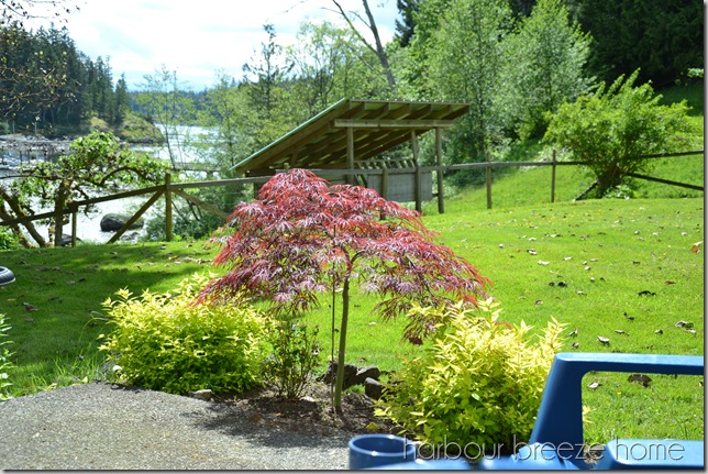 Sunday's Peaceful Pause