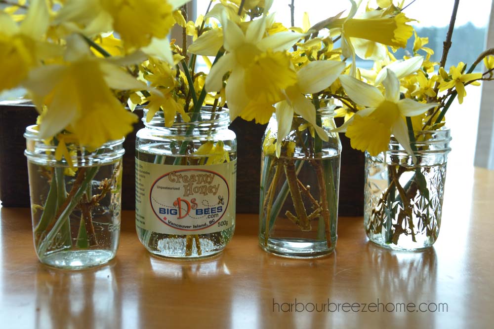 daffodil flower arrangements lined up on a table in clear glass jars with water
