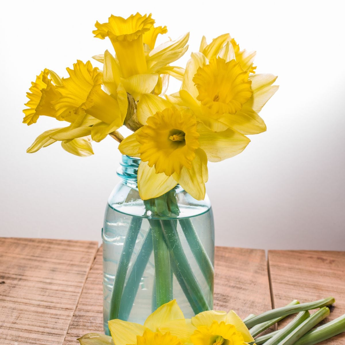 Cheerful Daffodil Arrangements for Your Home