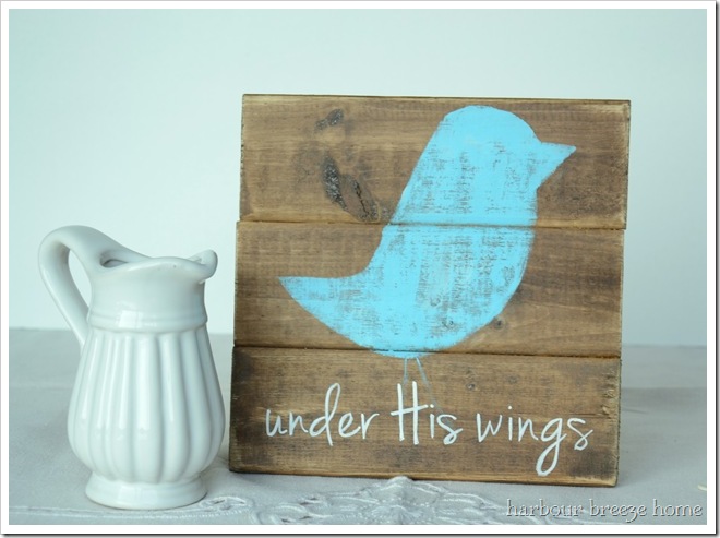 baby bird cover