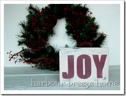 Joy cover