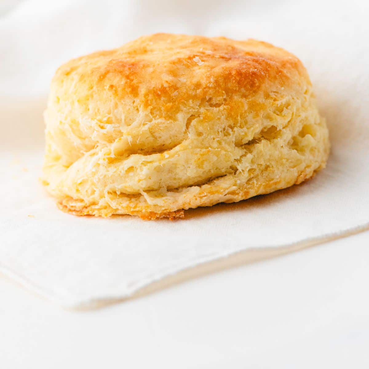 A close up picture of a light and fluffy baking powder biscuit