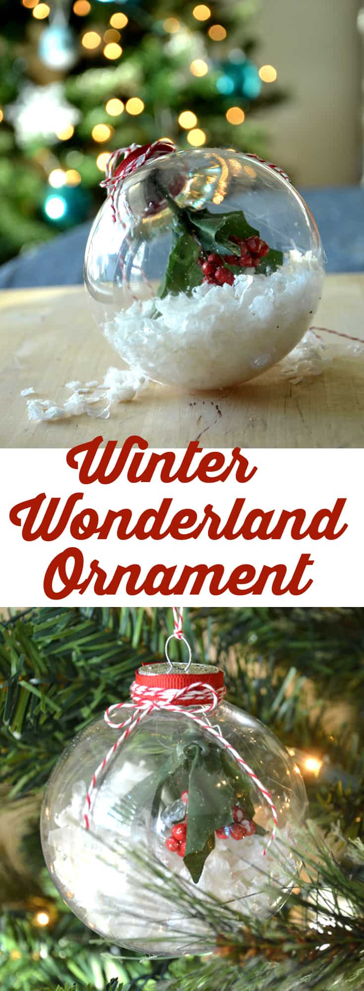 Simple Christmas Craft ~ Winter Wonderland Ornament