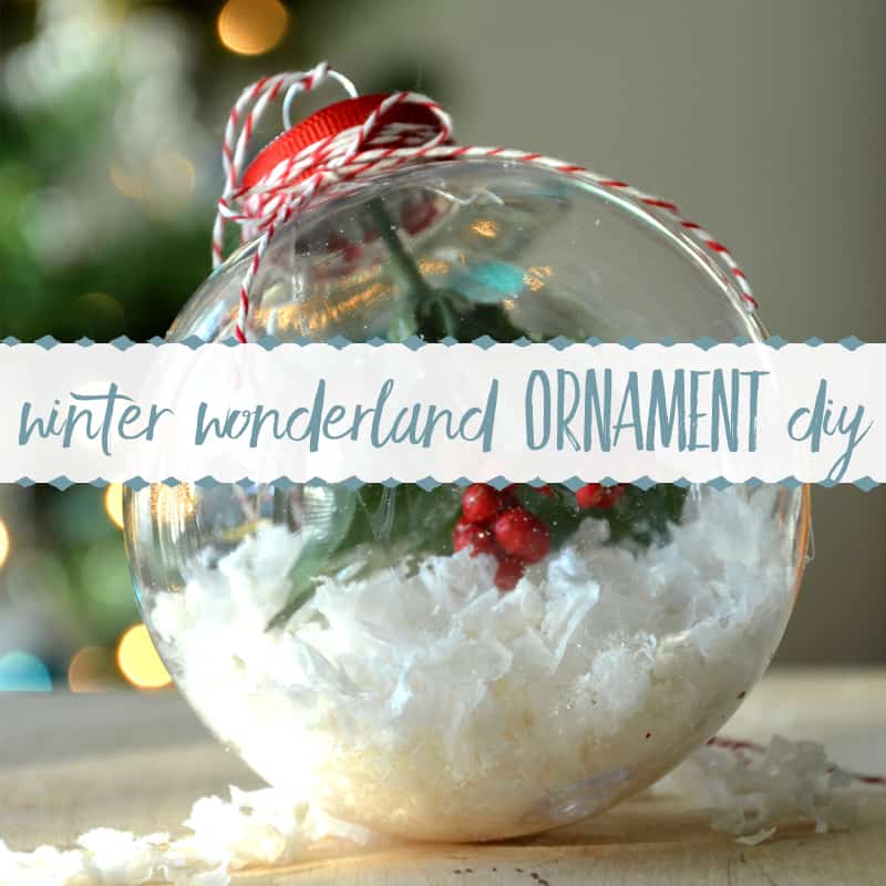 Easy Christmas Craft: Winter Wonderland Ornament