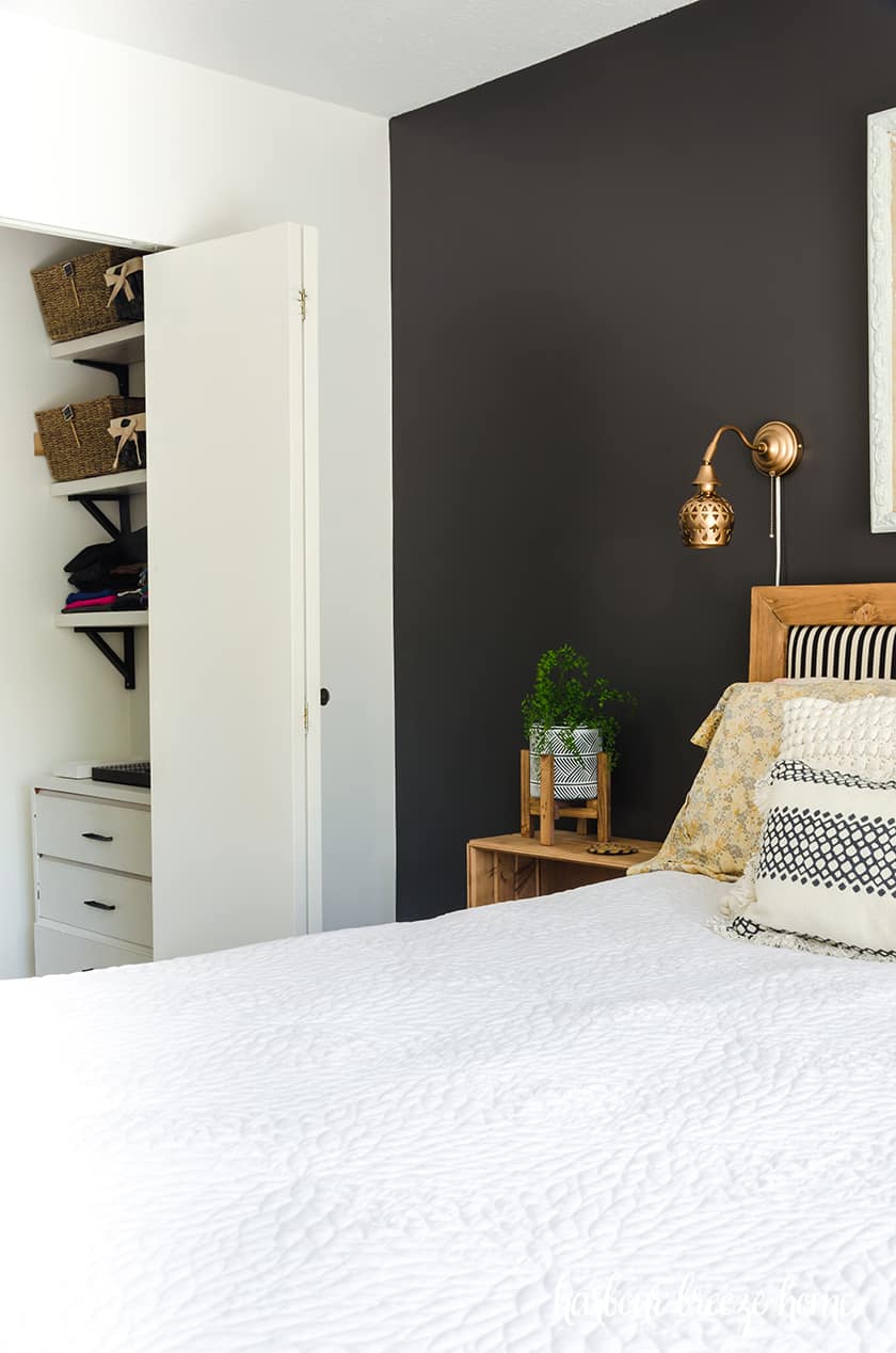 A small closet in the side wall of a Master bedroom with the door open.