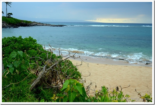 napili bay 5
