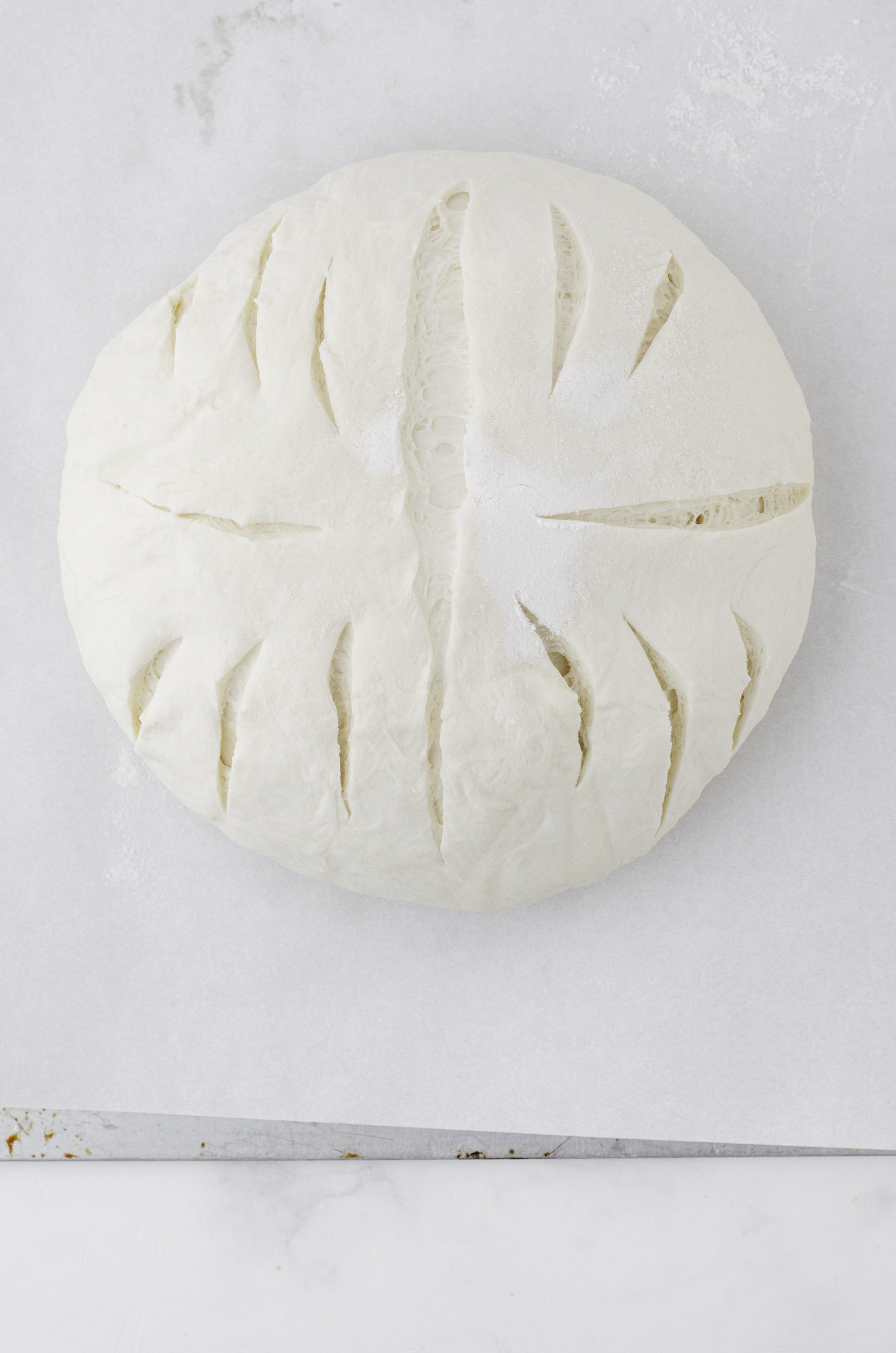 A sourdough bread loaf ready to be placed in a dutch oven to bake.