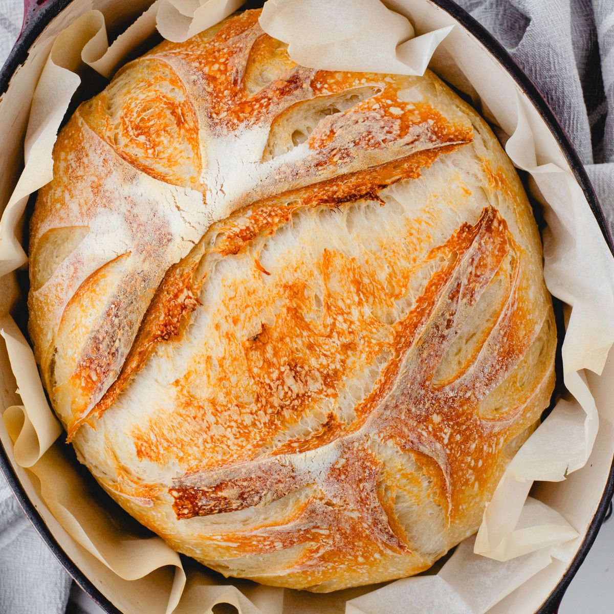 Sourdough Baking Diary: Why I'm Still Hooked at 4 Months