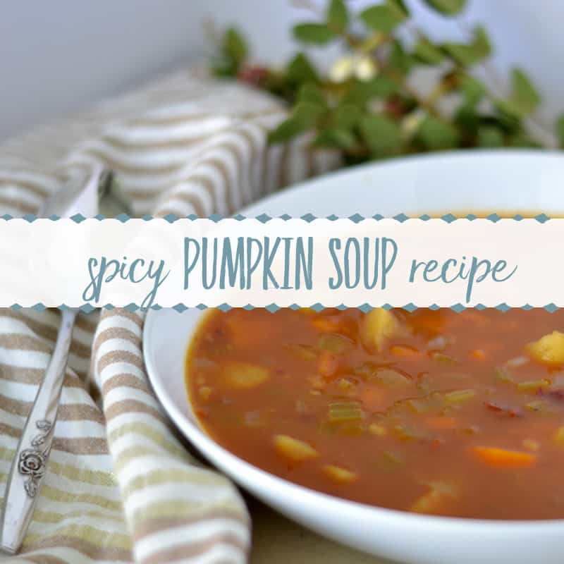 Warm Spicy Pumpkin Soup Recipe