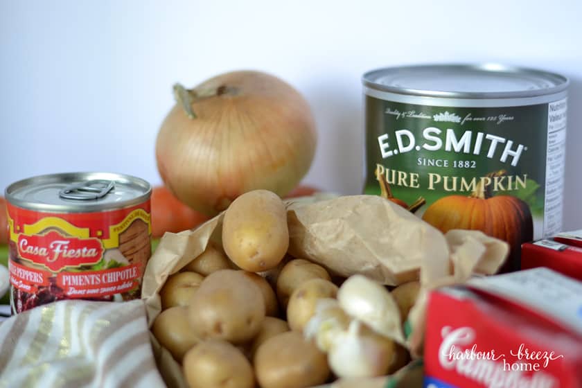 Spicy Pumpkin Soup ingredients