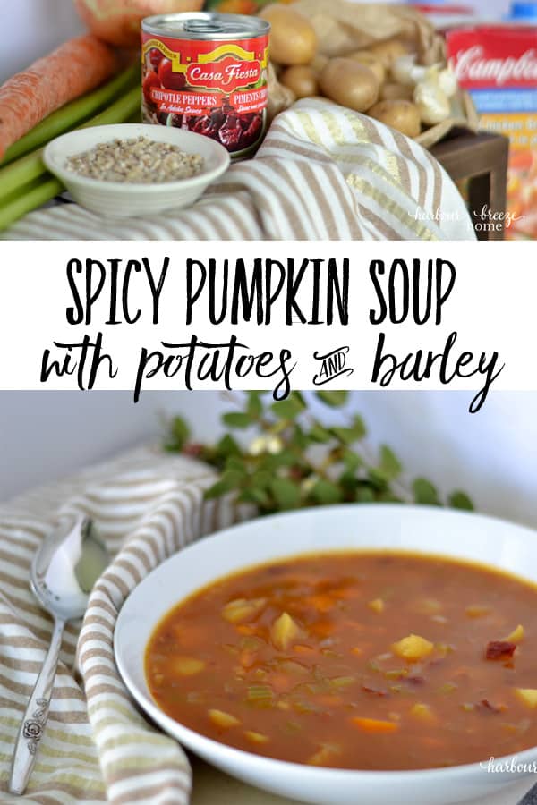 Spicy Pumpkin Soup
