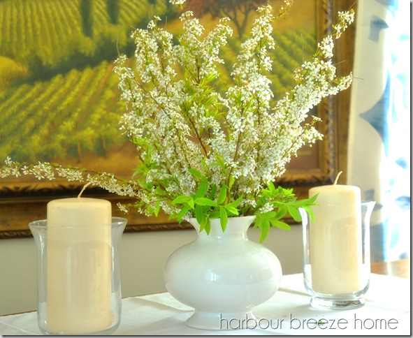 spring flowers 1