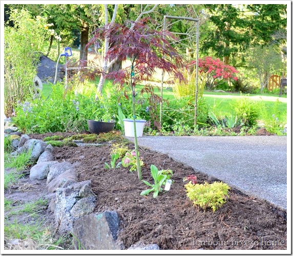 small flower bed right after flowers were planted