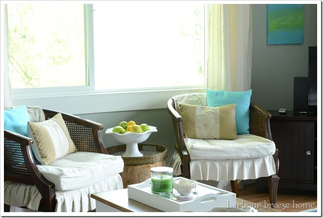 aqua in living room ps