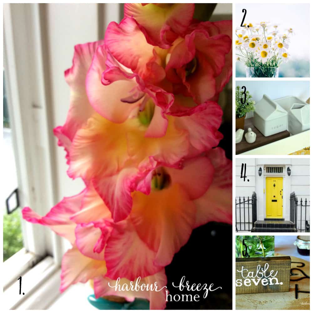 Summer Recap ~ faith and family posts on Bildirimlerim