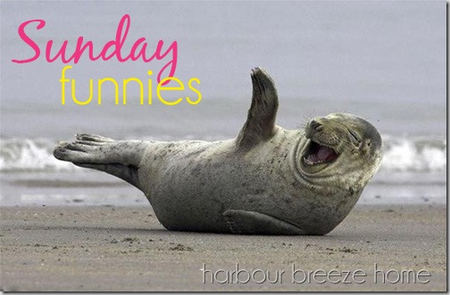 Weekly Lighthearted Moments