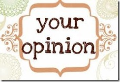 your opinion