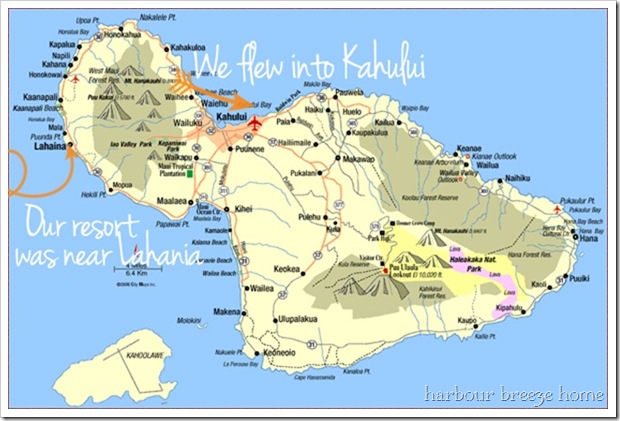 Maui Arrival: First Moments in Hawaii