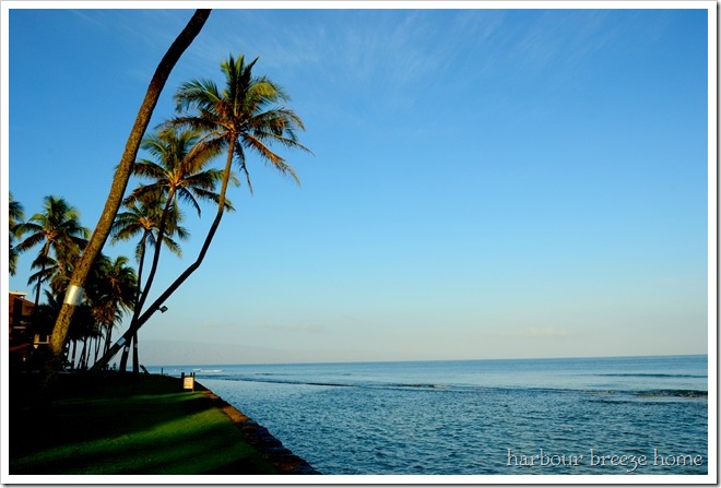 scene from our coffee time bench