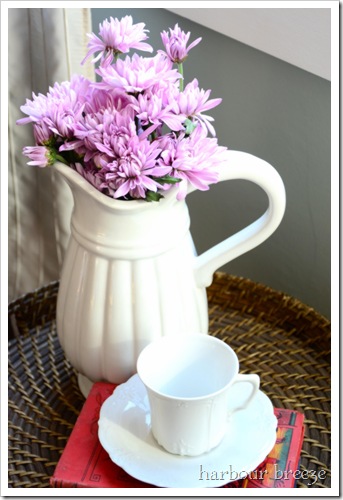 purple mums