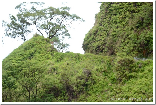 road to hana