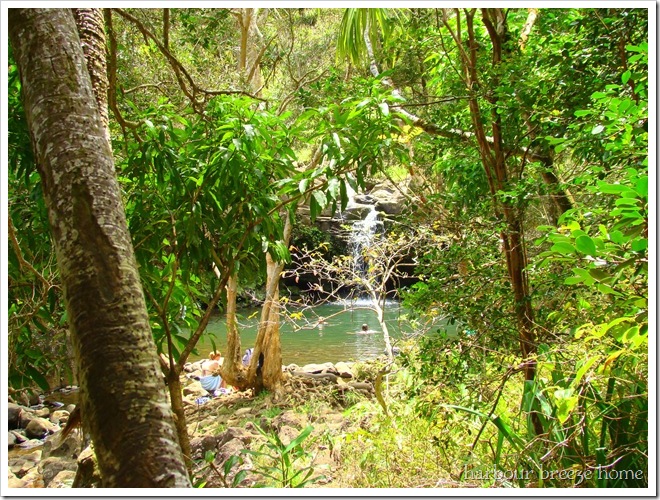 twin falls pool 2